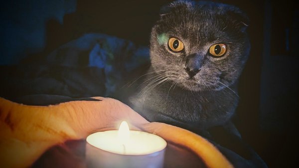 Відключення світла за графіком: розклад на 25 листопада для Миколаївської області.