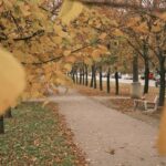 Миколаївщина: тиждень у світлинах – події в тилу та на передовій