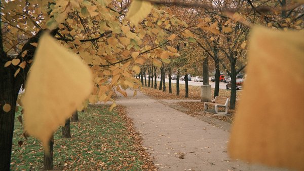 Миколаївщина: тиждень у світлинах – події в тилу та на передовій
