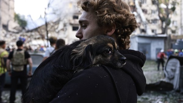 Тварини під час війни: підтримка в умовах обстрілів та відключень.